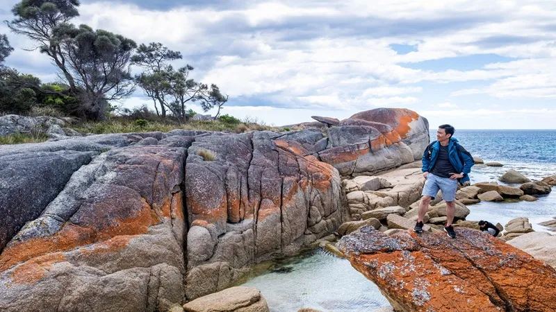 TheLowDownUnder Travel: The Ultimate Guide to Exploring Australia, New Zealand, and the South Pacific